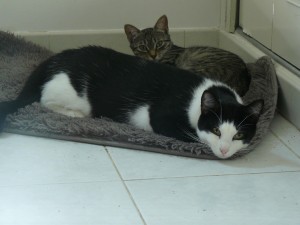 DAMKA ET MARIUS2
