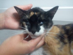 Photo0963