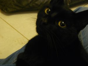 Melchior5