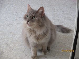 babth-assise