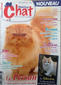 matou-chat