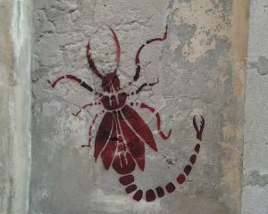 12ruerobert