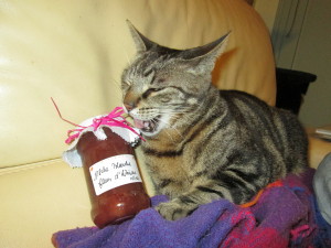 chat confiture