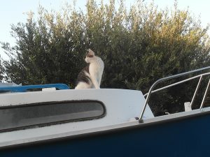 hoseki-bateau-