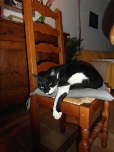 ralph-chaise