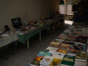 livres-agnes