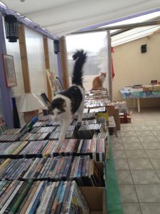 foire-livre-chats