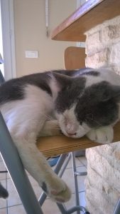 milky-repos-enfin