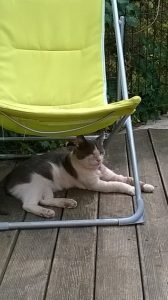 milky-sous-transat