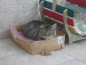 ugolin-panier
