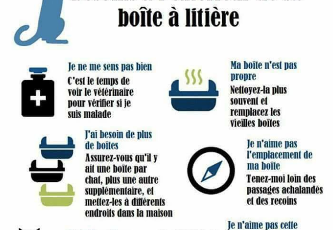 Trucs Astuces La Litiere Chats Libres De Nimes Agglo Trucs Astuces La Litiere Chats Libres De Nimes Agglo