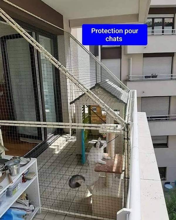 Grille de protection, passerelle pour fenêtres – Chats Libres de