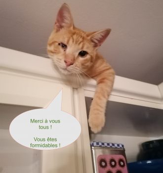 Des Nouvelles De Nils Chats Libres De Nimes Agglo