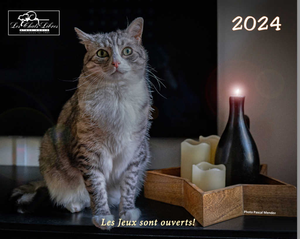 Le calendrier 2024 est arrivé ! – Chats Libres de Nîmes agglo